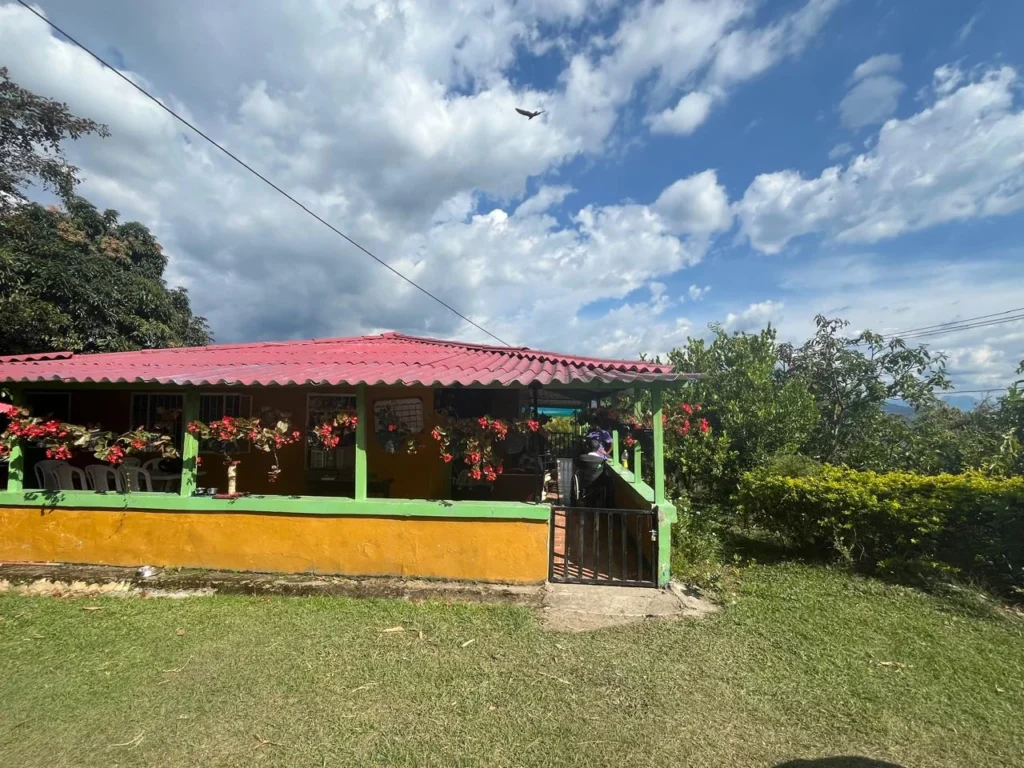 7446e877 8fcc 4859 a7c9 2adb131e5d61