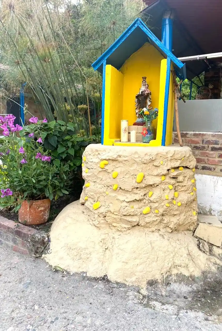 zf8b7v6twcxg6de6oeex 83 11zon